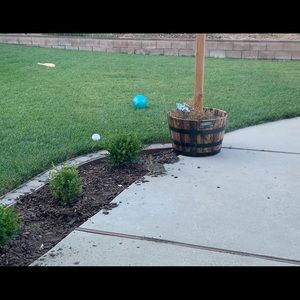 Meet your Posher, Ekaterini